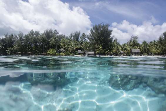 En près de 60 ans, la température a augmenté de 0,6 à 1,55 °C en Polynésie