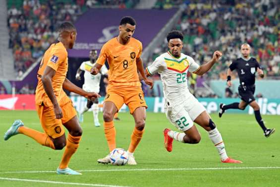 [MONDIAL 2022] Cody Gakpo, sauveur des Pays-Bas