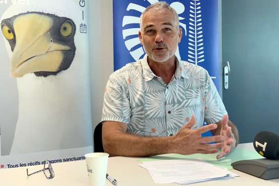 Moratoire sur les fonds sous-marins : un texte applaudi malgré des interrogations