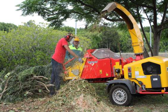 Du retard dans le broyage des déchets verts