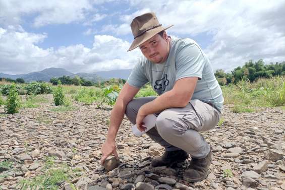 [Gros plan] Quand le climat s'acharne sur les agriculteurs