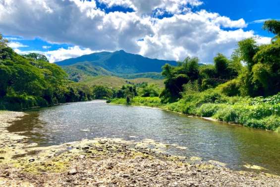 Selon le Cese, le texte sur la protection de l'eau peut être amélioré