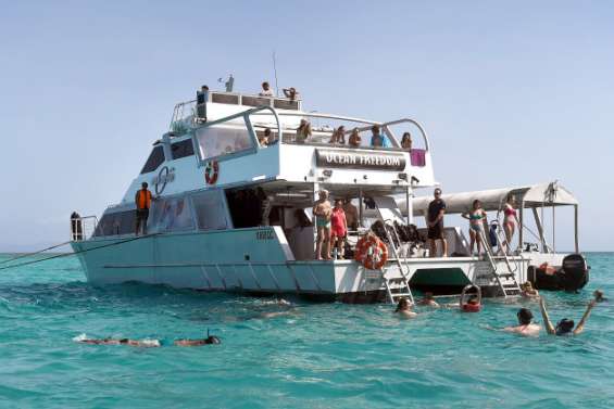 Australie : nouveau signal d'alarme pour la Grande Barrière de corail