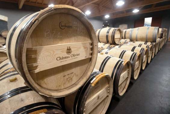 Viticulture : le Bordelais appelle à l'aide