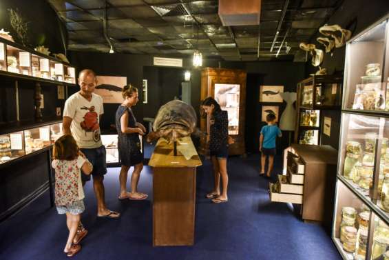 L'aquarium passe en horaires d'été
