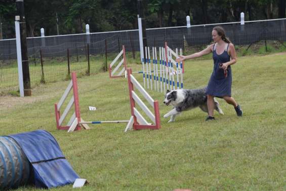 Le club canin célèbre  ses dix ans dimanche