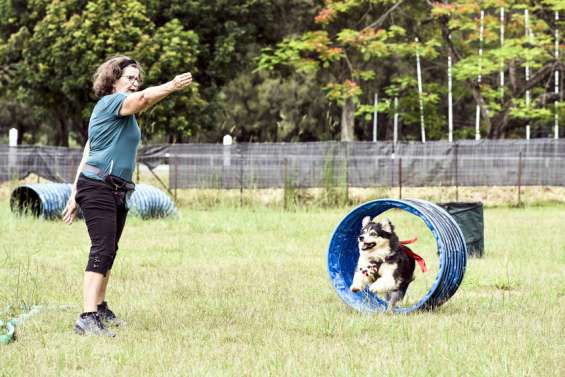 Le club canin a célébré dix ans de complicité entre maîtres et chiens
