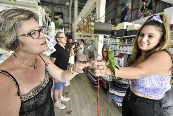 Des passionnés d'oiseaux se donnent rendez-vous dans les rayons d'une animalerie