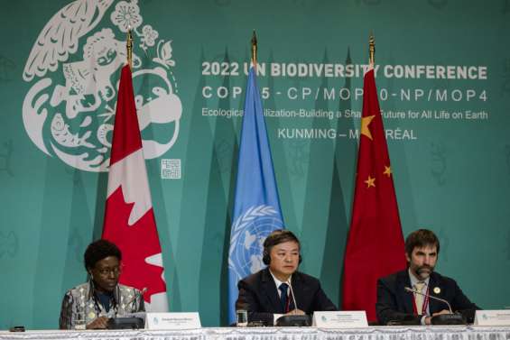 La COP15 suspendue au texte de compromis de la Chine