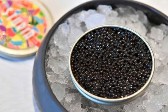 Science et transparence pour le caviar made in France