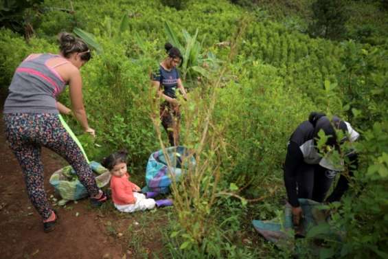 Face aux narcotrafiquants, les États s'organisent