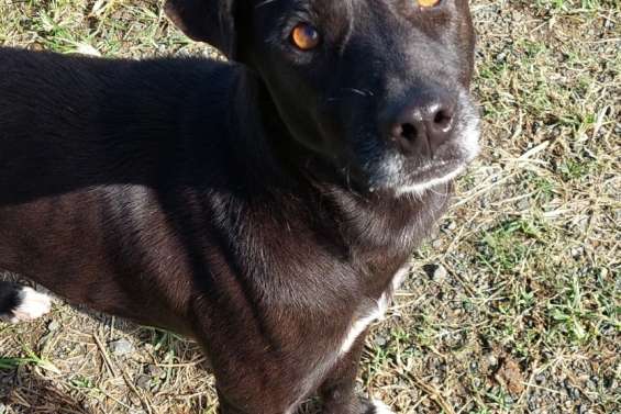 Ils cherchent un maître