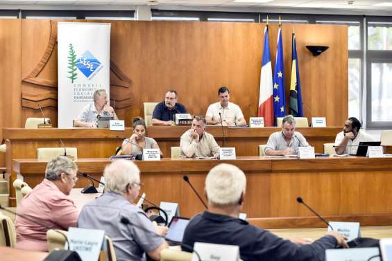 Prestations familiales : le Cese veut qu'on se penche sur le fond du problème