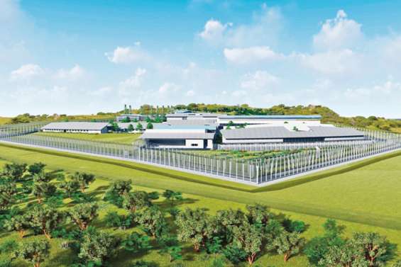 Le centre de détention de Koné bientôt inauguré
