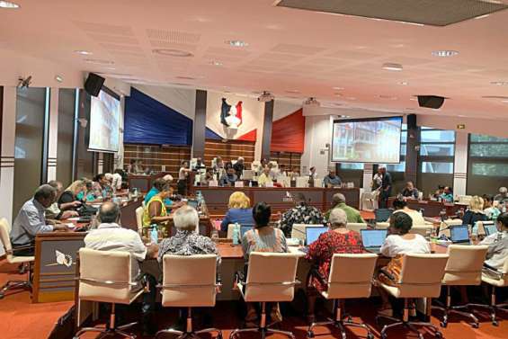 Nickel : La mise en place d’une taxe sur les exportations votée par le Congrès