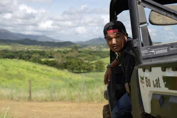 [VIDÉO] Son job d'été : agent de la station zootechnique de Port-Laguerre