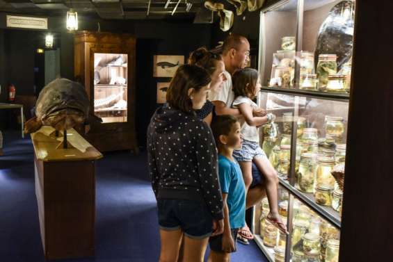 Les derniers jours du professeur Moriartus à l'aquarium des Lagons