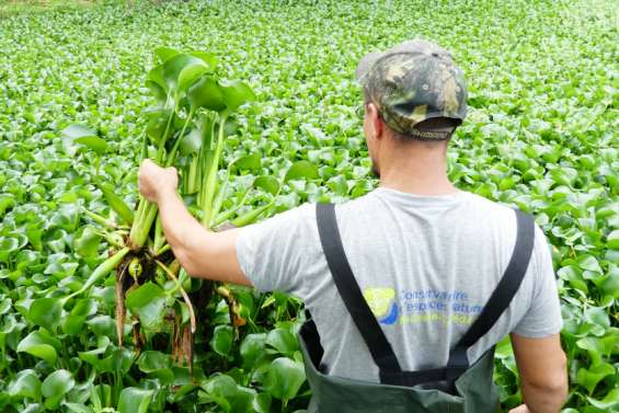Du Conservatoire à l'Agence : un nouveau défi