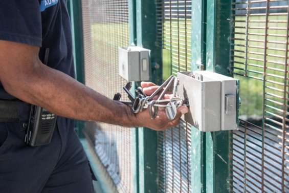 Trop accro aux vols de voiture ?