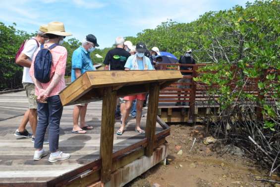 Une visite botanique gratuite dimanche