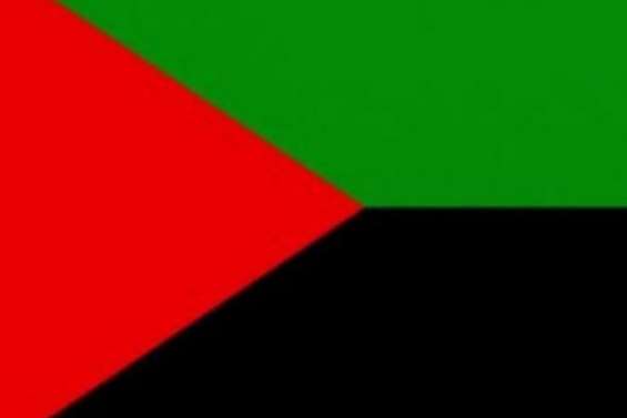 La Martinique a bien du mal à se trouver un drapeau