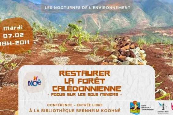 Les nocturnes de l'environnement