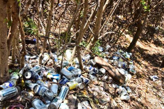 Nettoyage sur le site de Sakamoto