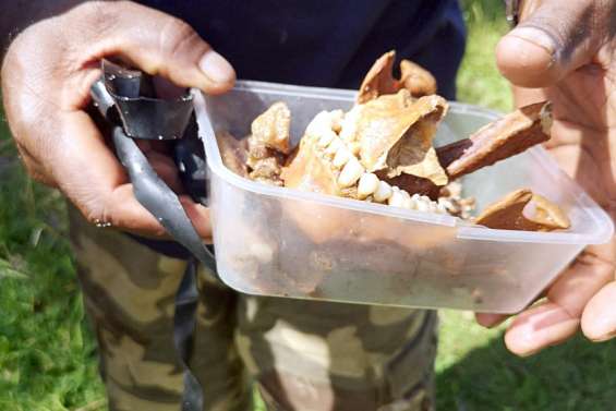 Des ossements retrouvés sur une plage à Maré