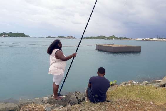 La pêche au picot est ouverte