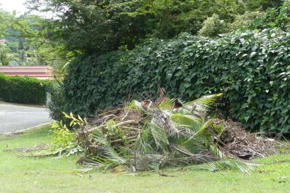 Du nouveau pour la collecte des déchets verts à VKP