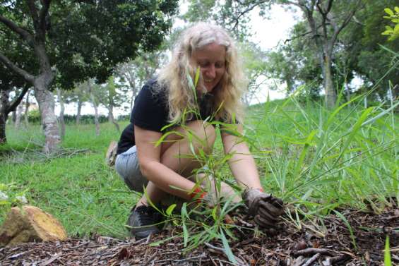 Hélène Cazé repeuple les forêts sèches de Nouméa avec l'aide de petits jardiniers en herbe