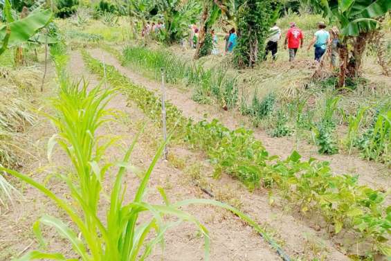 Un prix pour valoriser les agriculteurs responsables