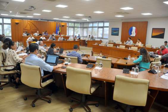 Délinquance en province Sud : le plan de lutte adopté, sans le FLNKS