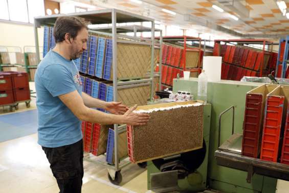 À Furiani, la dernière fabrique de cigarettes de France