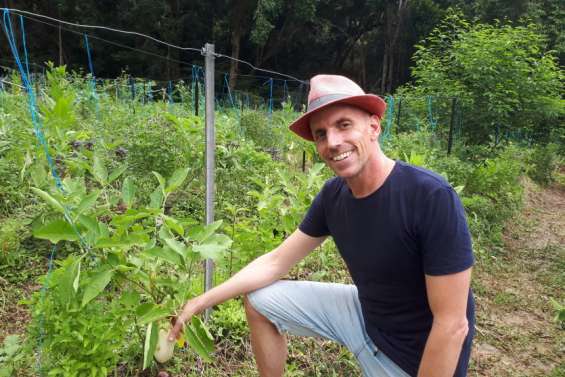 Dumbéa : la permaculture essaime au Amô, potager blotti au fond des bois
