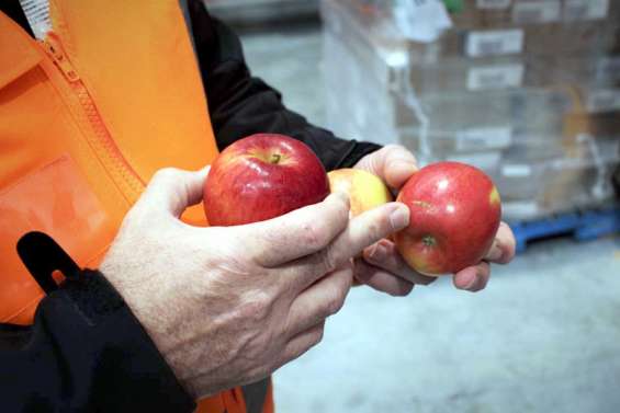 Nouvelle-Zélande : des fruits et légumes plus petits et en moindre quantité cette année