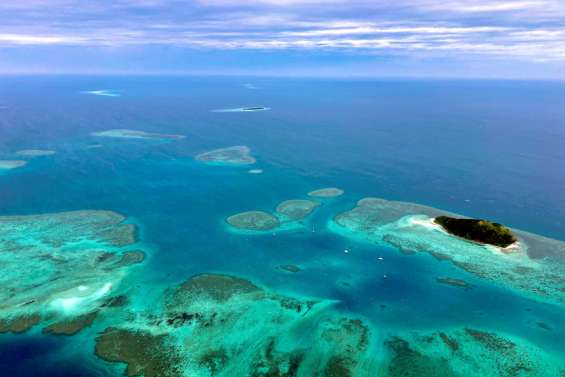 10 % du parc naturel de la mer de Corail est désormais hautement protégé