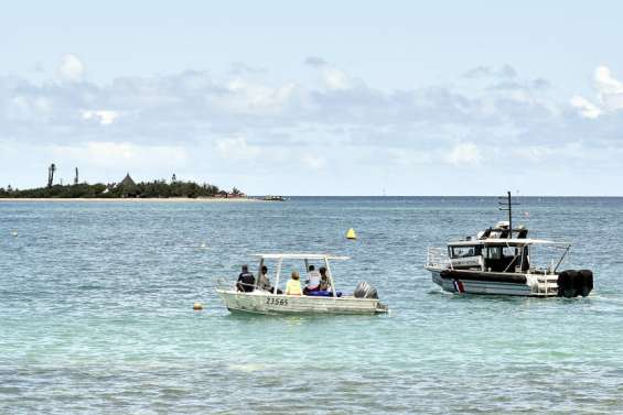 Le tribunal administratif suspend les campagnes d’abattage de requins à Nouméa
