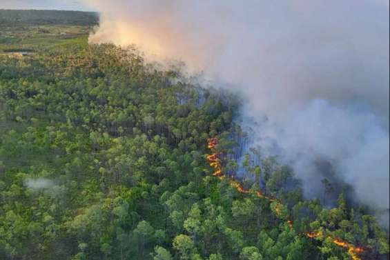 Le gouvernement alerte sur la multiplication des feux de forêt en quelques jours