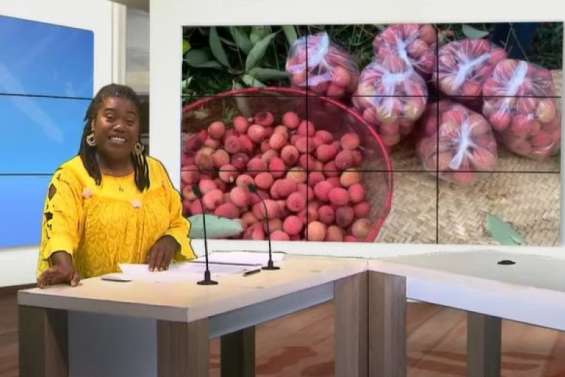 Mobilisation indépendantiste, avenir institutionnel, premiers letchis… Le journal de Caledonia du jeudi 30 novembre