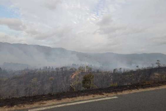 Accident mortel de chasse, incendie à Ouégoa, Nouméa s’illumine… Les infos à retenir du week-end