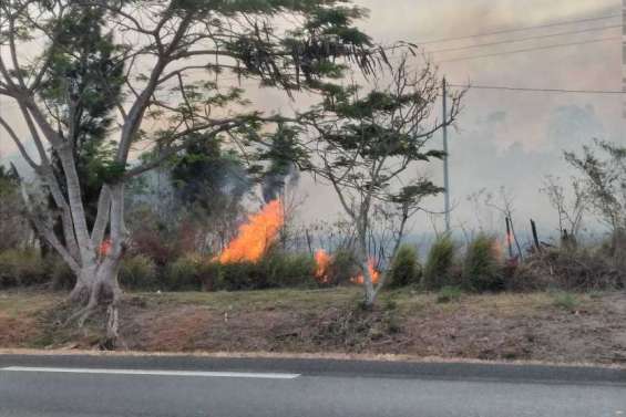 [Direct] Incendie à Païta : 950 hectares partis en fumée