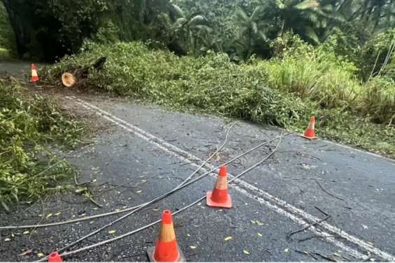 Brisbane : une tempête fait un mort et prive 120 000 foyers d’électricité le soir de Noël