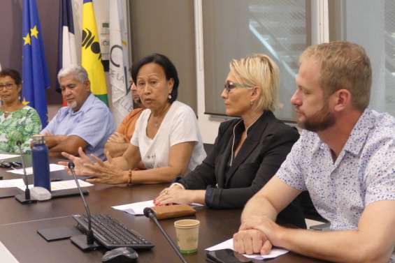 Les groupes Rassemblement et Loyalistes dénoncent un 