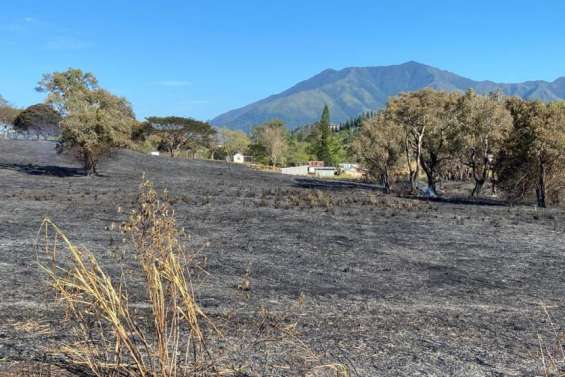 Cinquante hectares brûlés route de la Quarantaine, à Païta