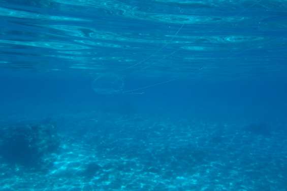 Plusieurs baigneurs piqués par des méduses dans le lagon Sud
