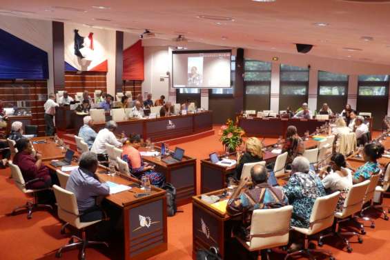 [Conseil d’État 2/2] La composition du Congrès, un manquement au principe d’égalité ?
