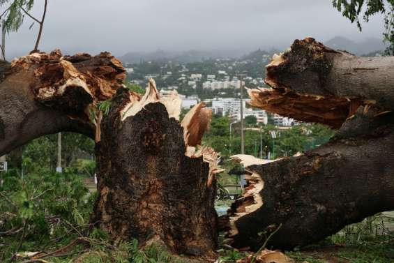 Le cyclone Belal fait trois morts à La Réunion et un à l'île Maurice