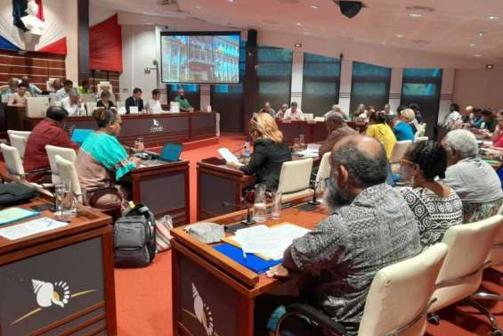 Le Congrès se montre favorable au report des élections provinciales