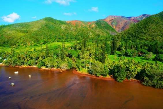 Les liaisons maritimes avec l’île Ouen reprennent